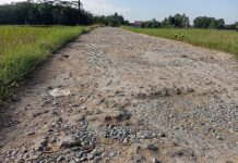 Warga Mengeluh !! Dampak Rusaknya Jalan Bagi Kehidupan Masyarakat Desa
